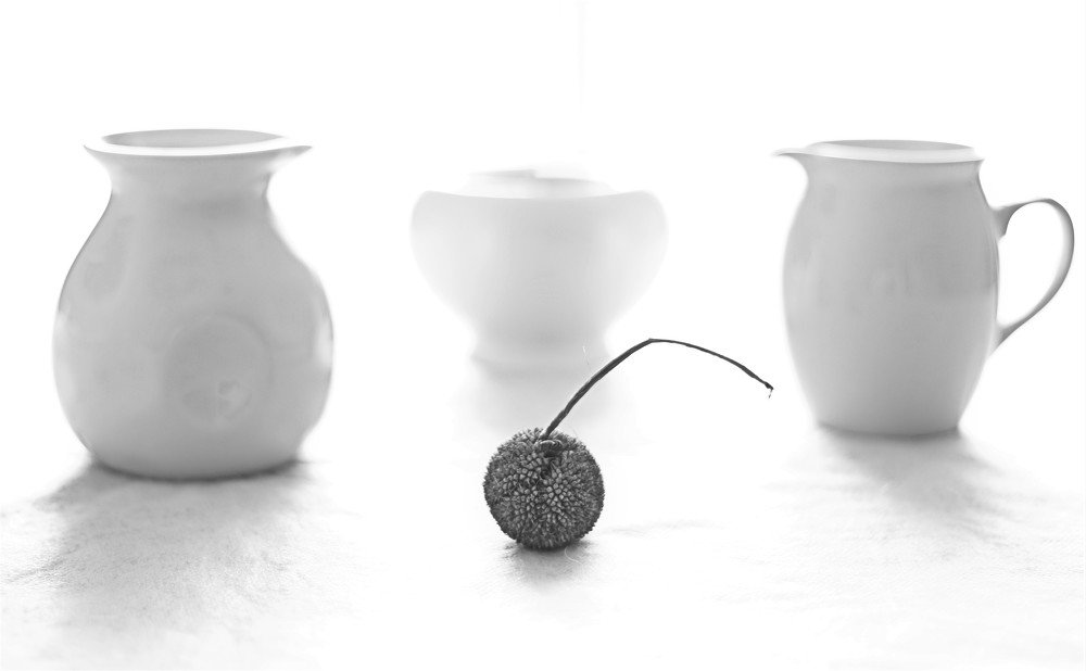 Белое на белом