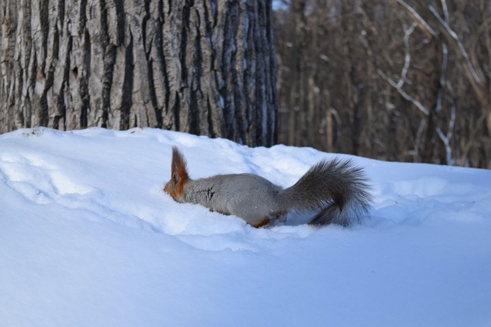 Photograph by Яна Юношева