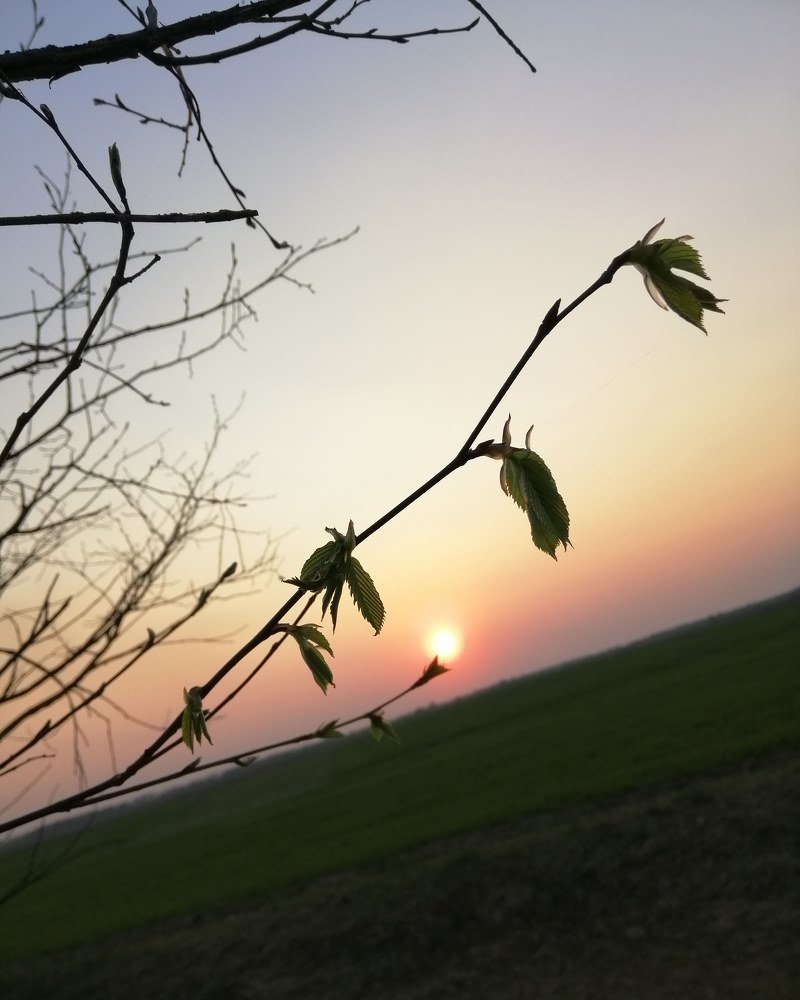 Photograph by Алина Цилык