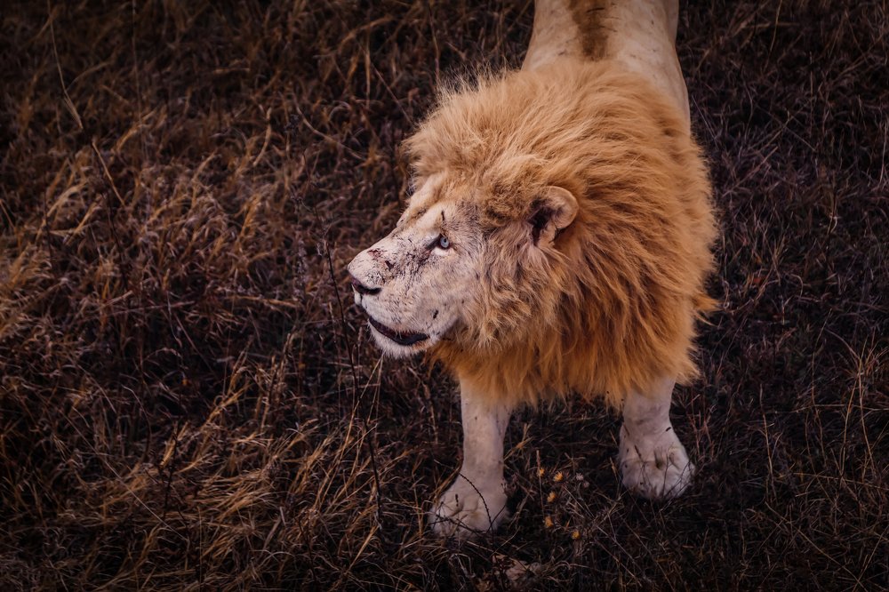 Photograph by Светлана Воскресенская