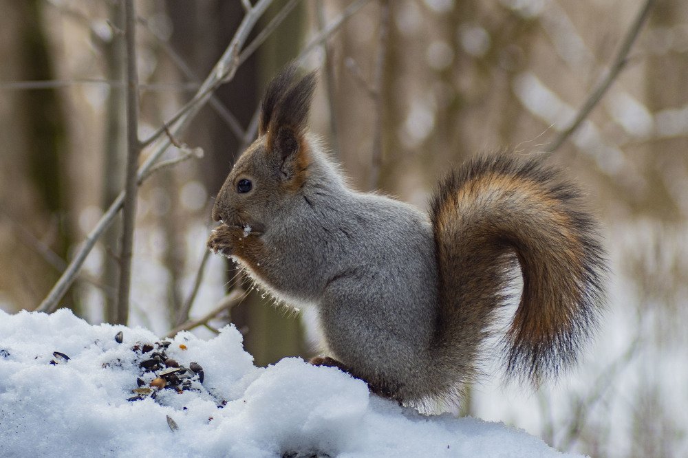 Photograph by Виктор Печищев