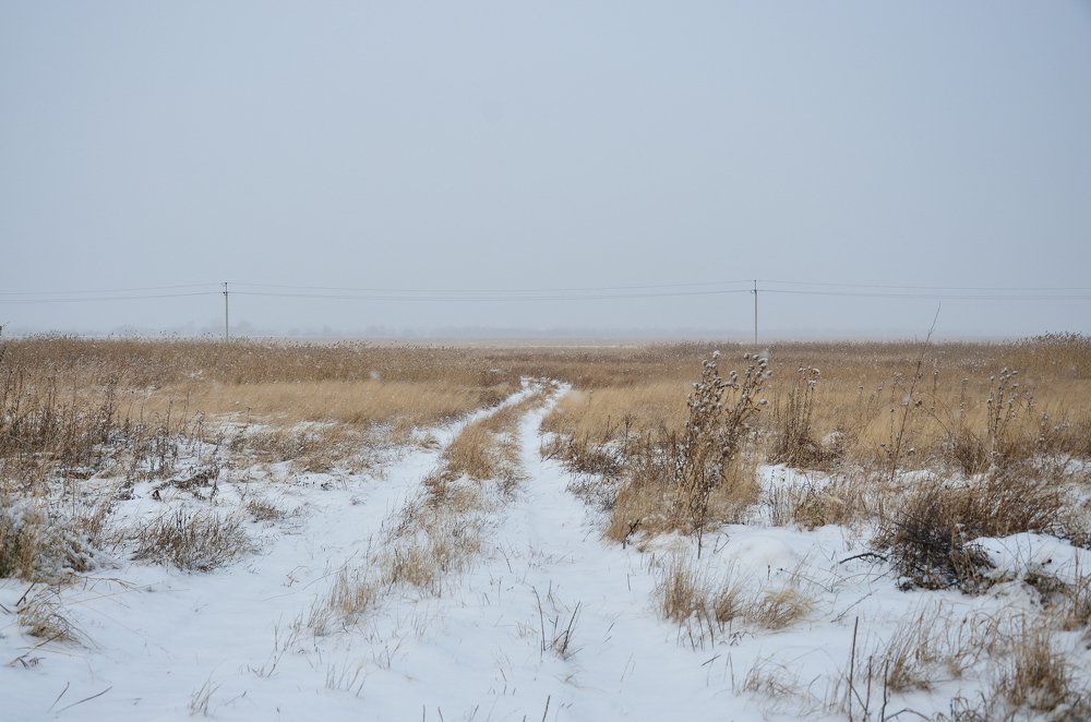 Photograph by Юрий Шмидт