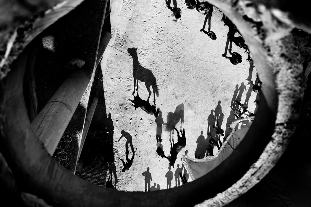 Photograph by Mohammadreza Masoumi