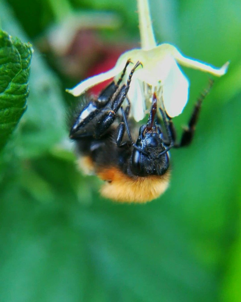 Photograph by Андрей Брижанкин