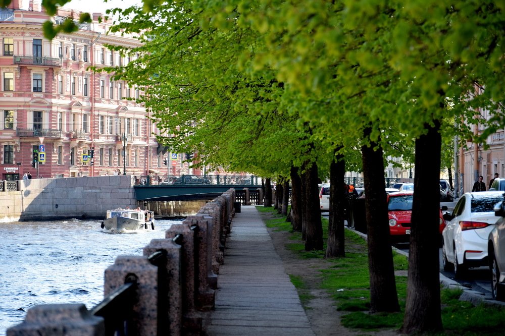 Photograph by Марина Алина
