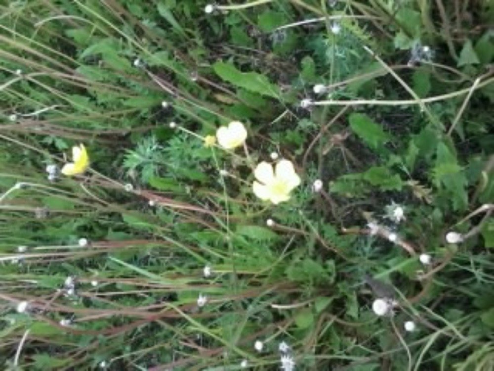 Серия фото- Природа и мы.