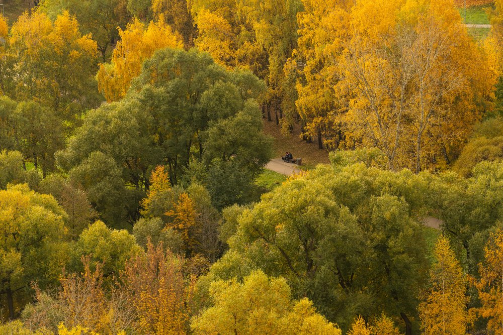 Photograph by Александр Дроздов