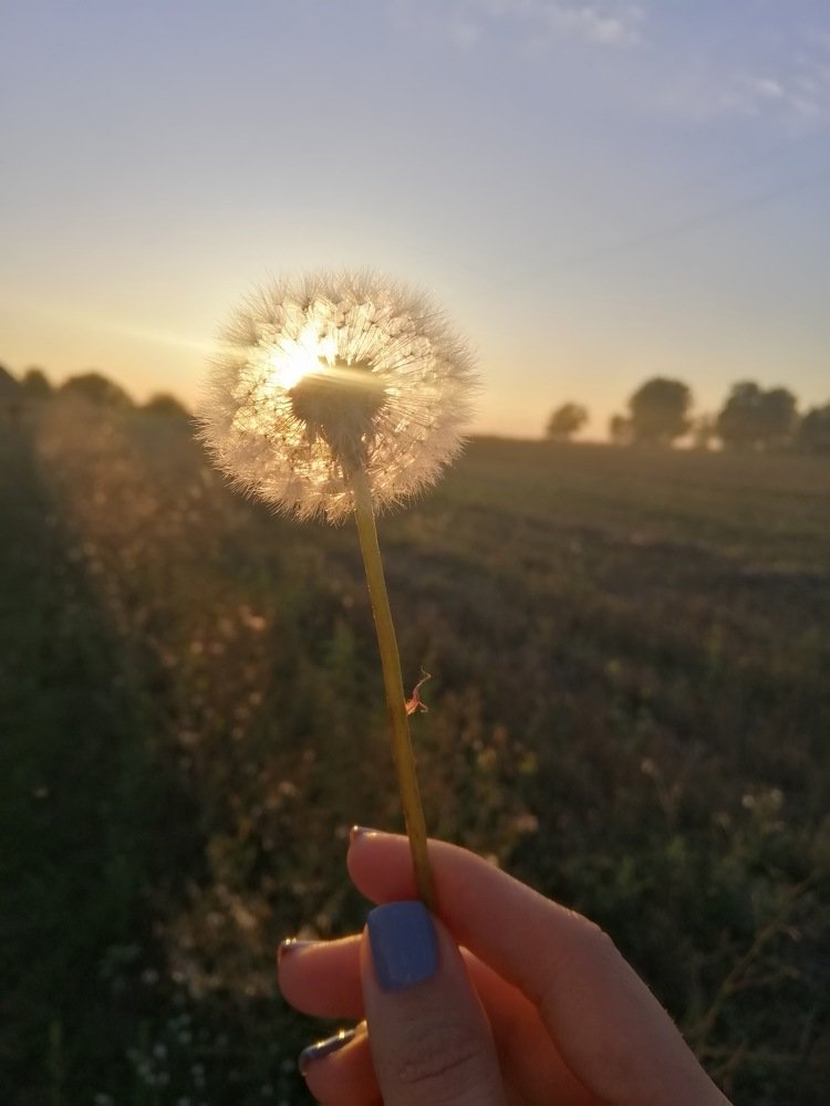 Photograph by Алина Цилык