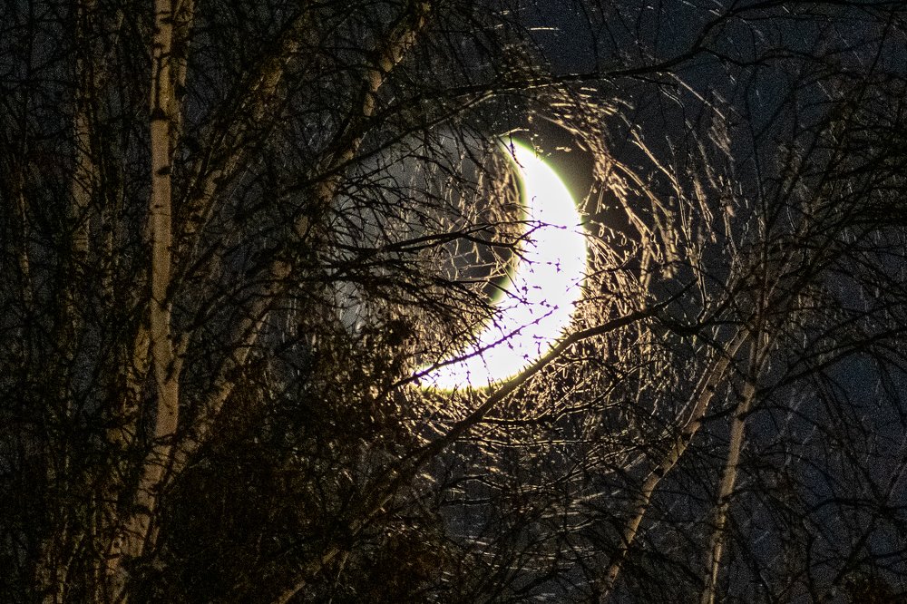 Photograph by Юлия Боровкова