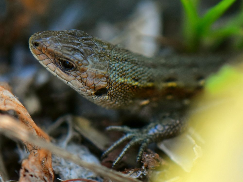 Photograph by Наталья Аржинт