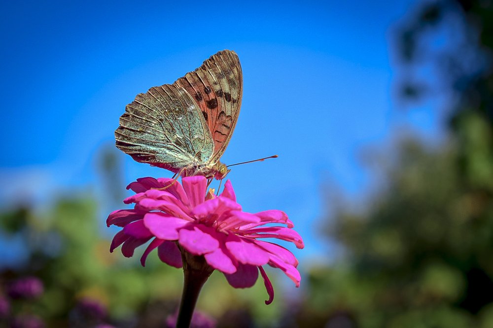 Photograph by Артём Буц