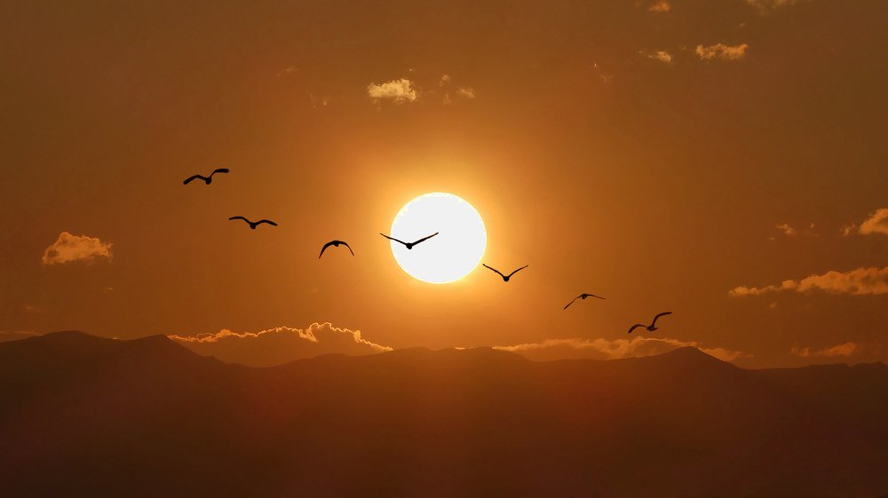 Photograph by ali bakhshi