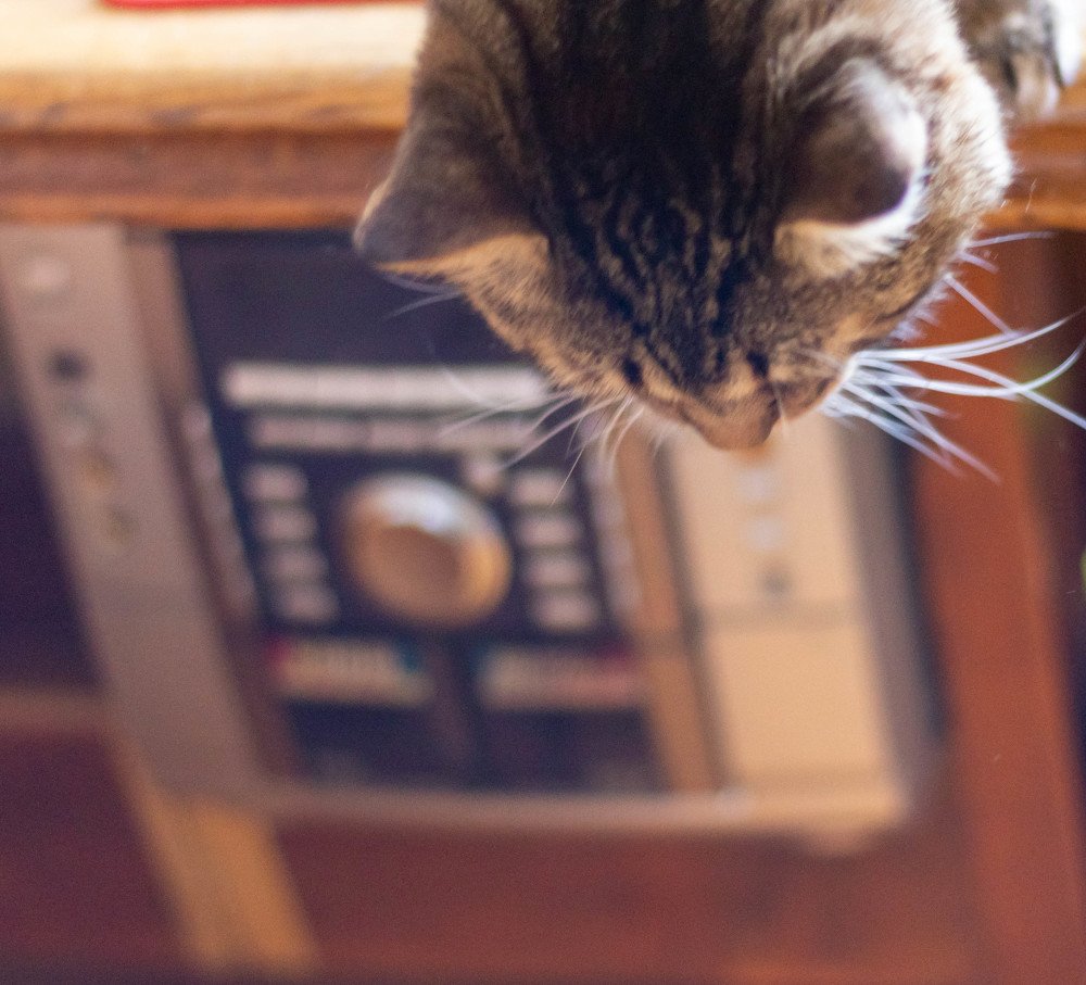 Взгляд вниз