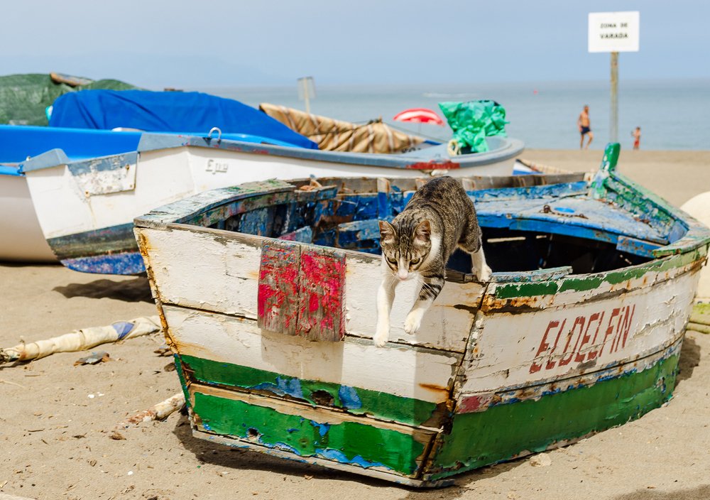 Фотография автора Юрий Макаров
