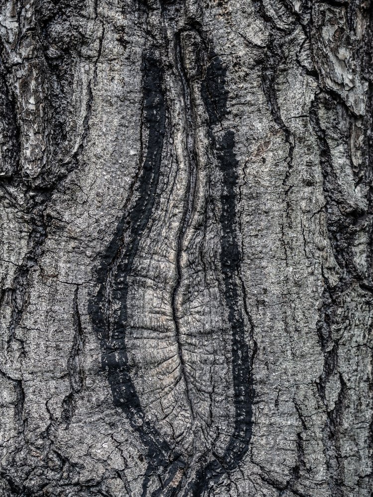 Photograph by Евгений Волосков