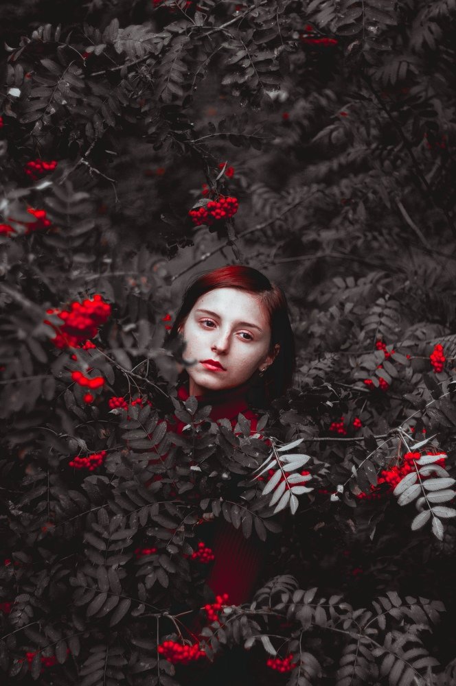 Photograph by Влад