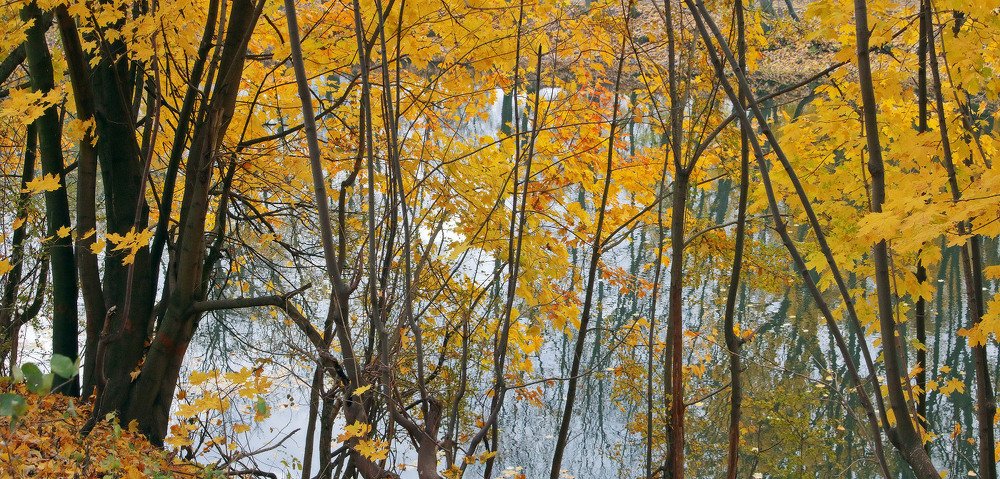 Photograph by Владимир Петрукович