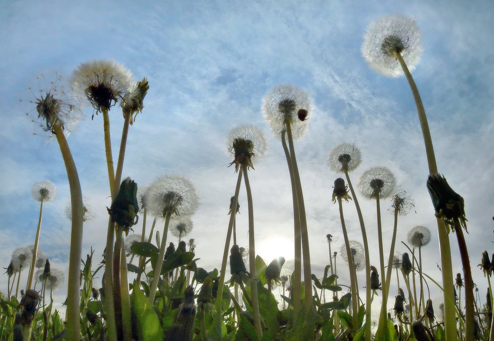 Photograph by Владимир Петрукович