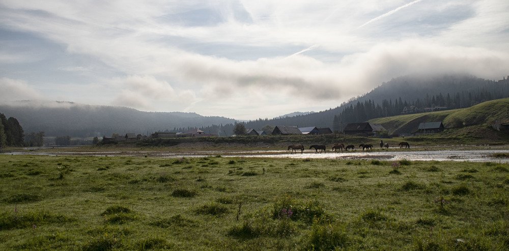 Фотография автора Веста Ягужинская