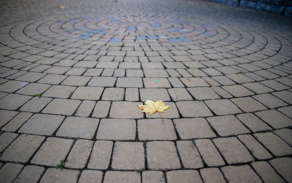 Photograph by Carmen Vich