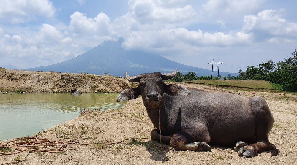 Photograph by Chito Aguilar