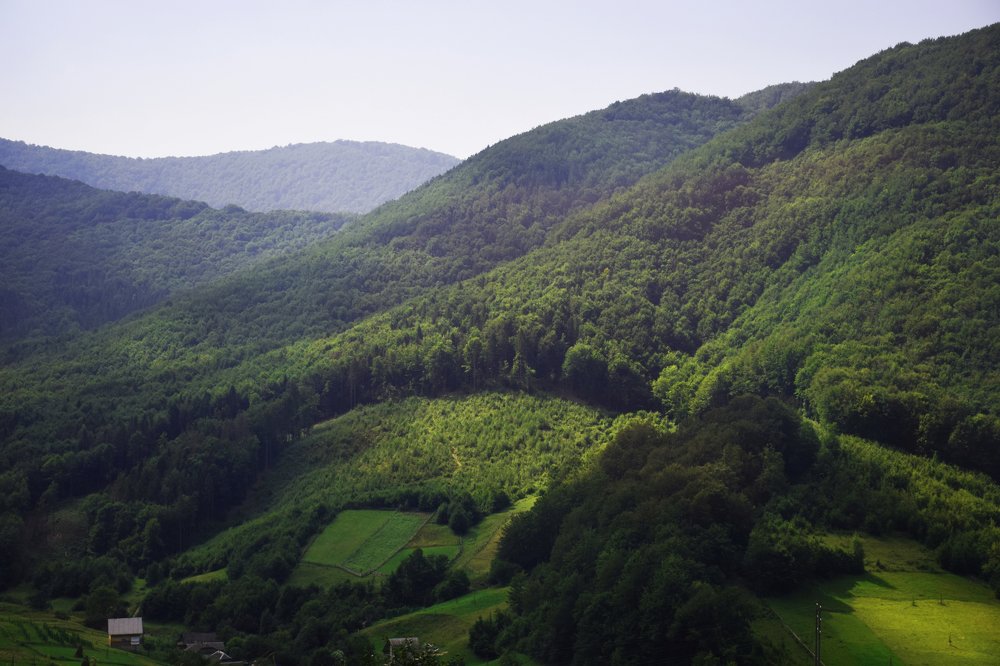 Photograph by Татьяна Мельник