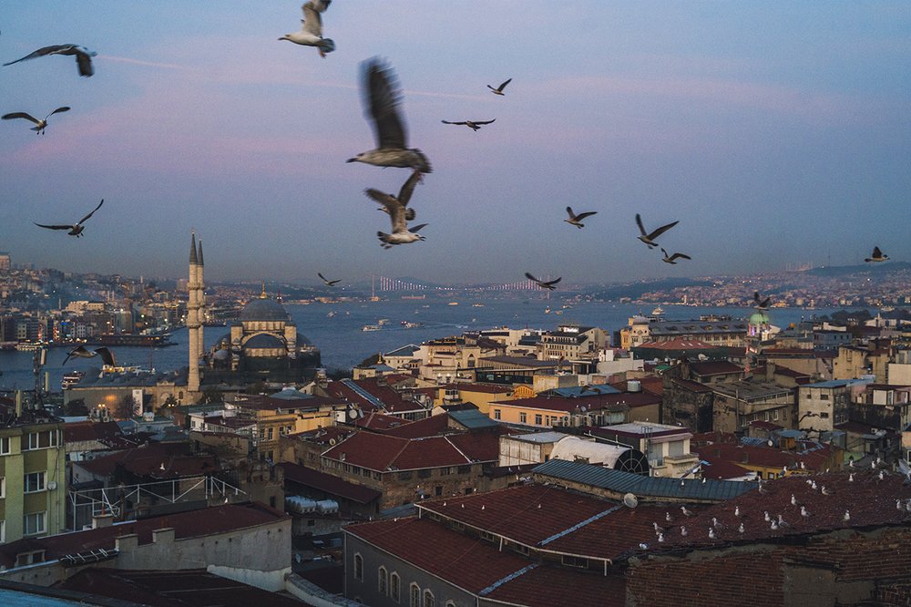 Photograph by Анатолий Гузенко