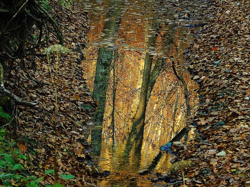 Photograph by Светлана Карпенко
