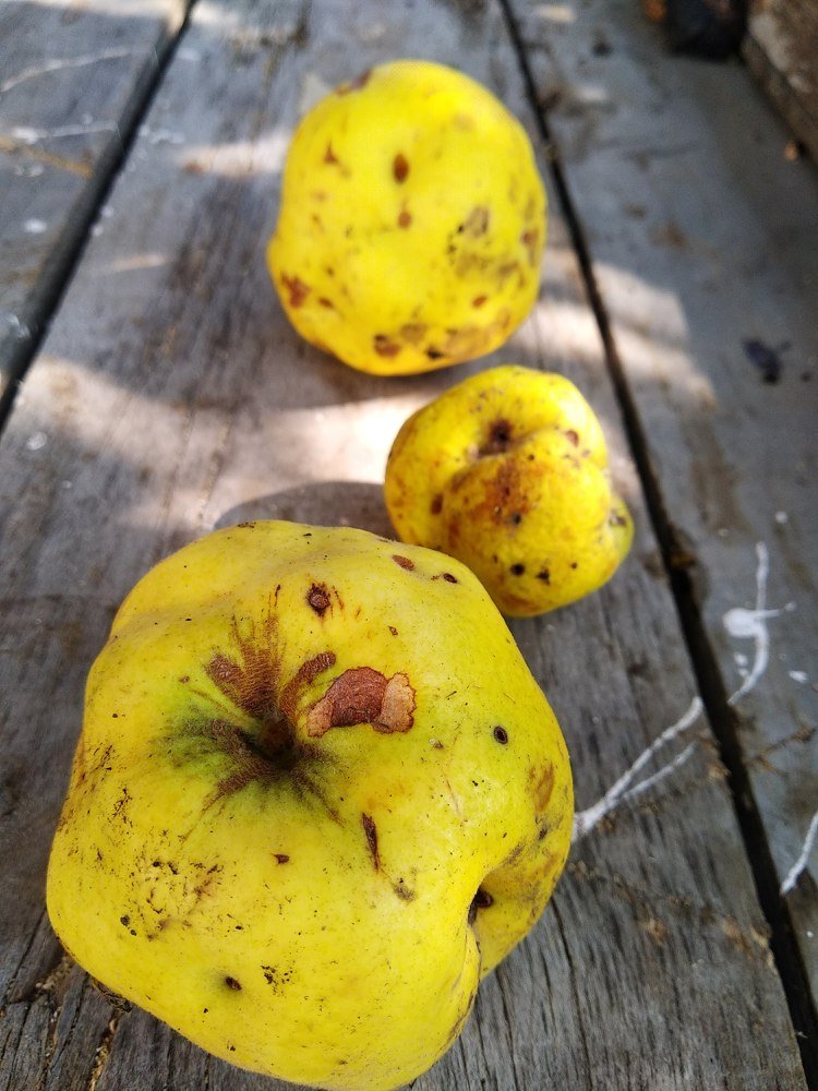 Фотография автора Alexandra Baranova