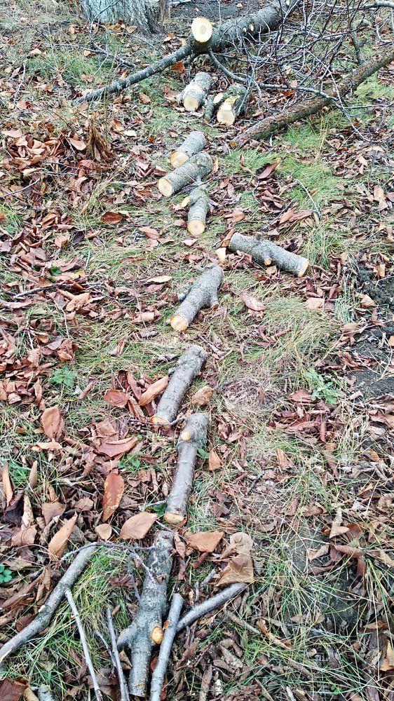 Фотография автора Alexandra Baranova