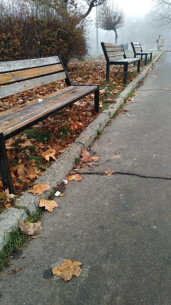 Фотография автора Alexandra Baranova