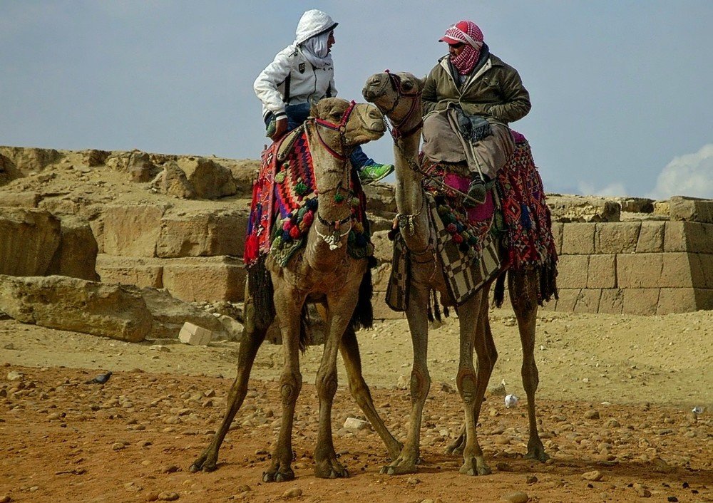 Увлекательная беседа...