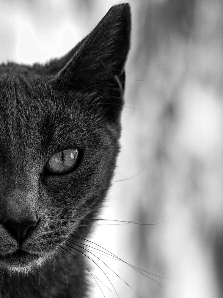 Photograph by Георгий Акопджанов