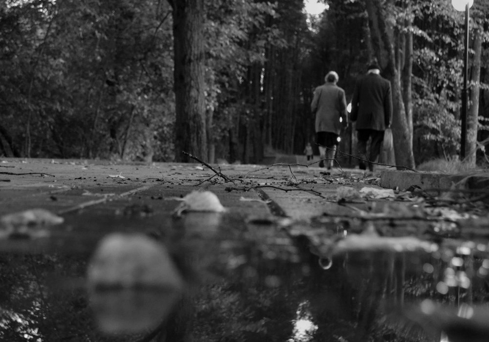 Photograph by Анастасия Петрова