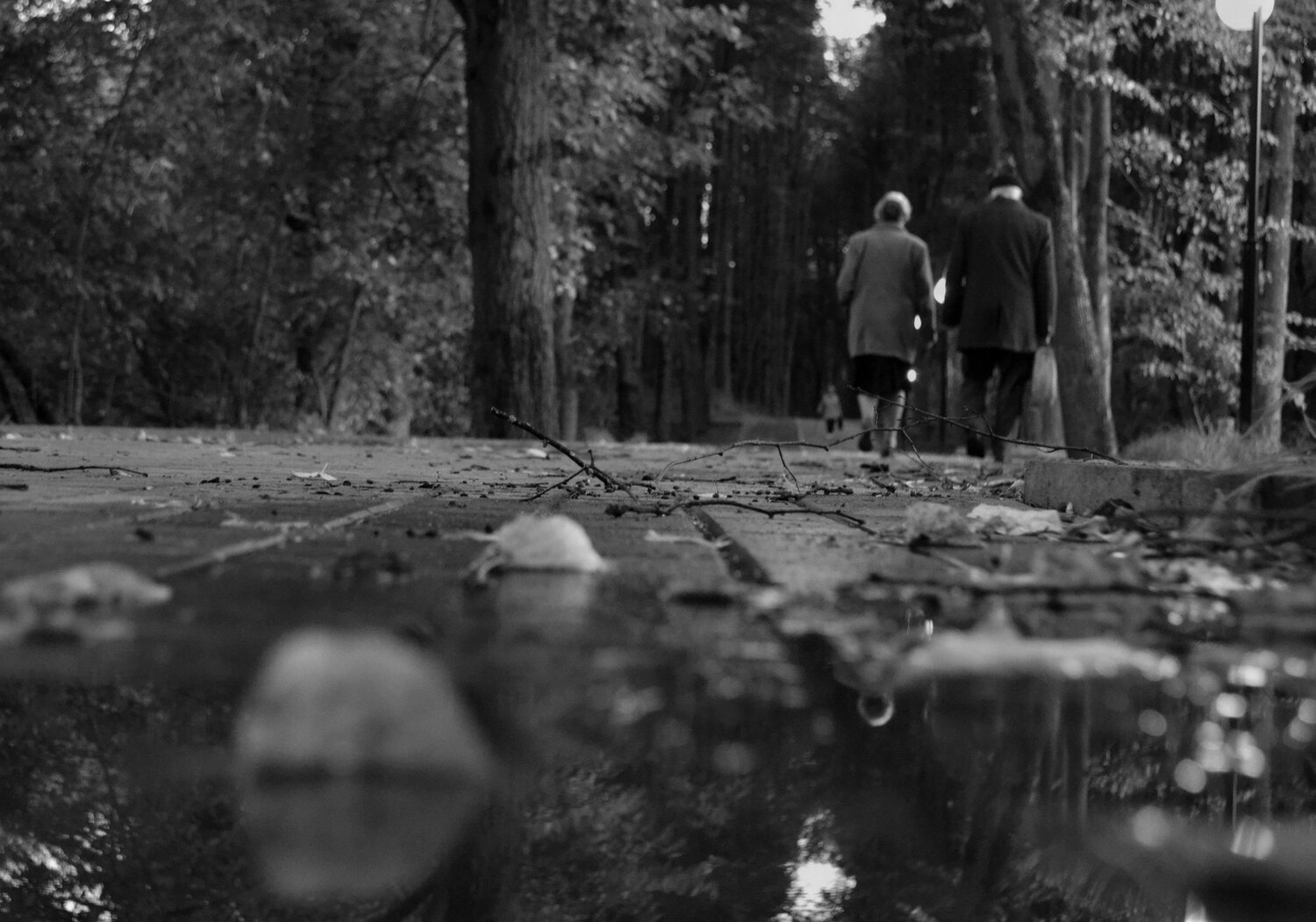 Photo #3962801