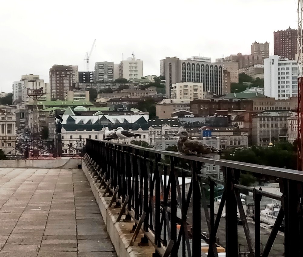 Photograph by Татьяна Шилова