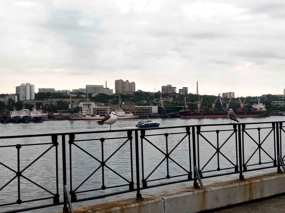 Photograph by Татьяна Шилова