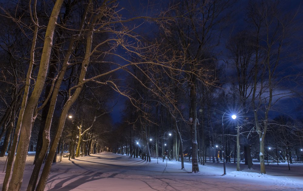 Photograph by Анна Кривицкая