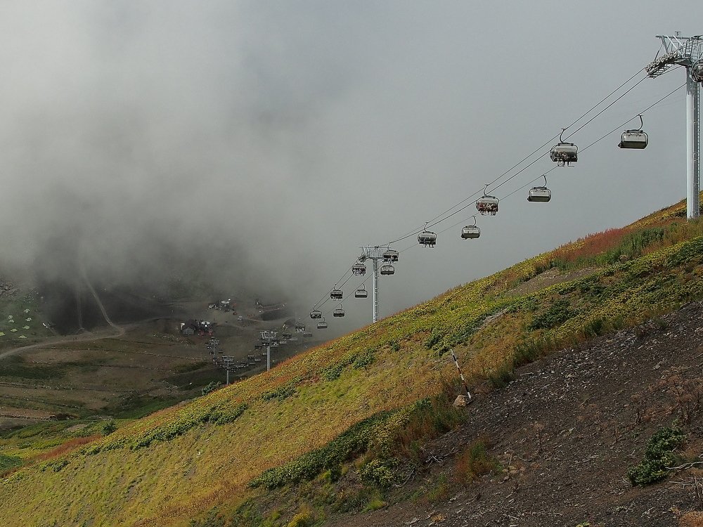 На прохладной высоте