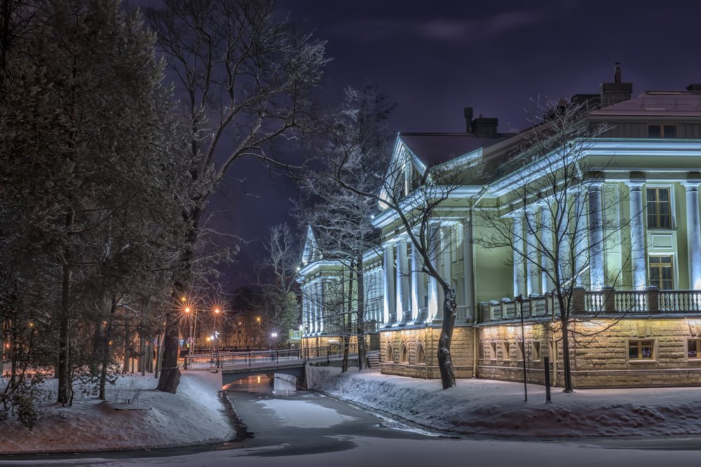 Дом на Крестовском острове