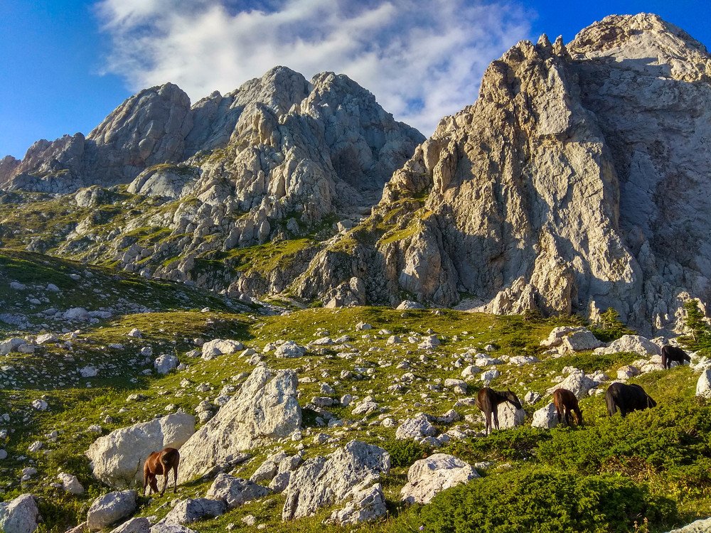 Photograph by Пономарёва Наталья