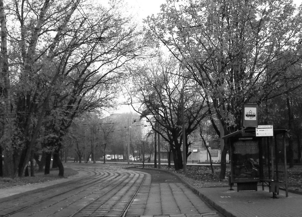 Photograph by Вадим Беляев