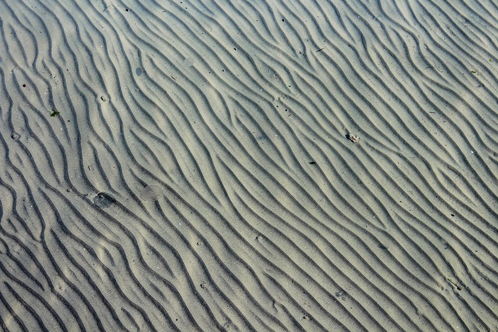 Фотография автора senol zumrut