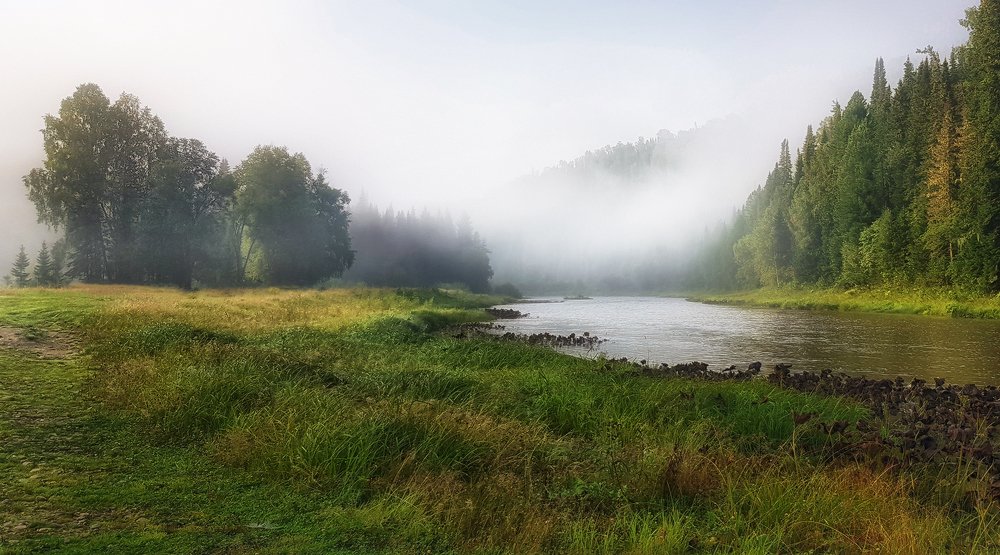 Утро уходит с туманом