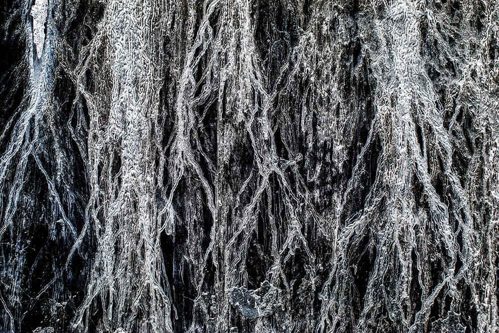 Фотография автора senol zumrut