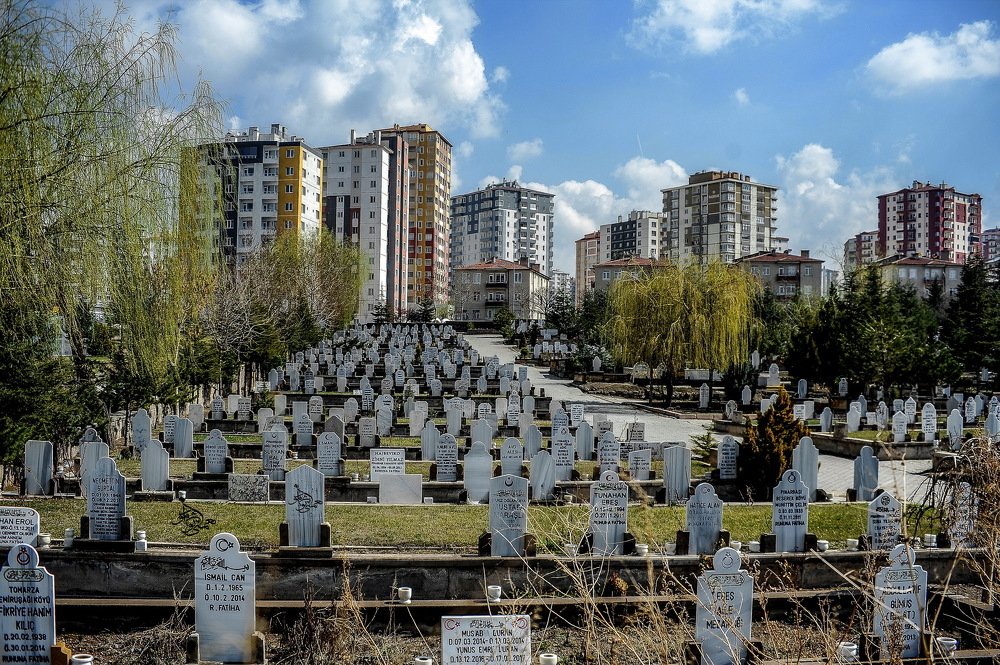 Photograph by DAMOUN POURNEMATI