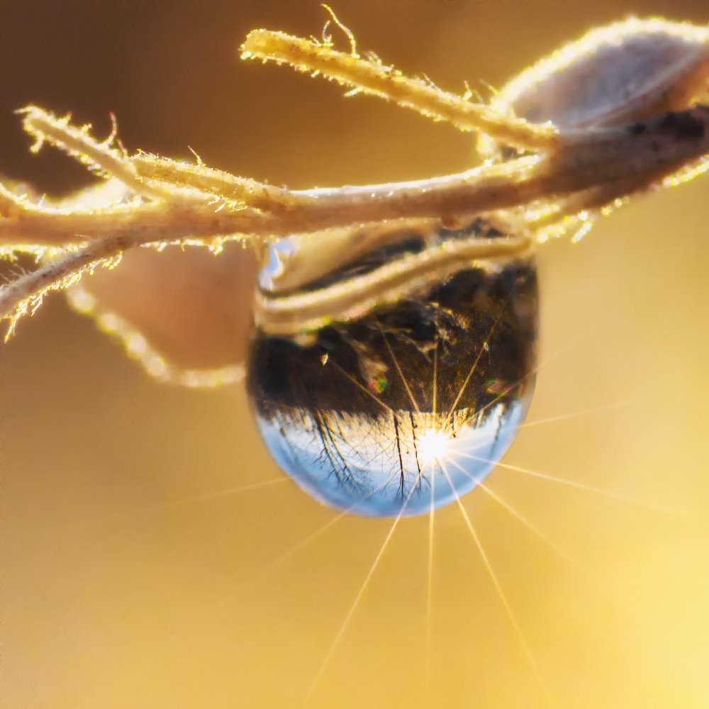 Фотография автора Владимир Зубков