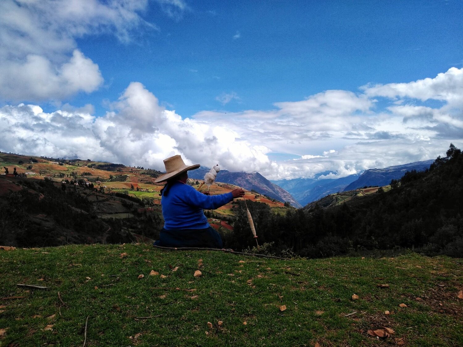 Photo #3963186