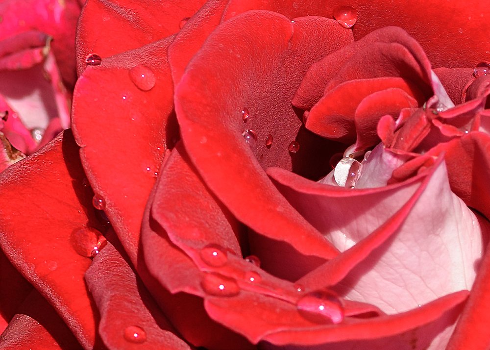 Фотография автора Владимир Зубков