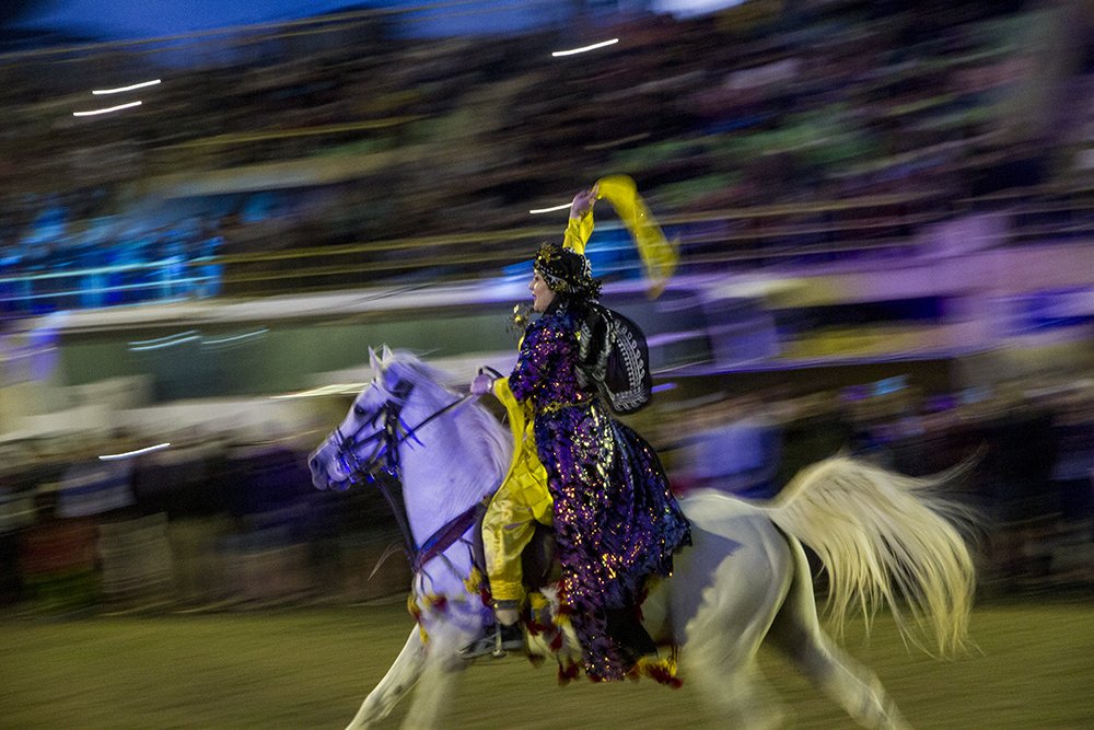 Фотография автора aryan nasrolahi